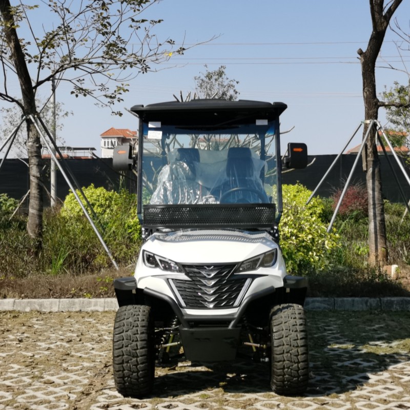 + + 2 सीटर विद्युत विद्युत् लिस्टियन ब्याटियम ब्याट्रीको साथ