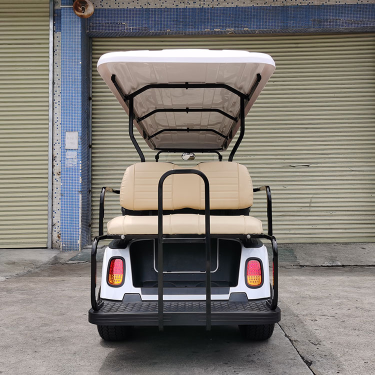 Electric Sightseeing Car